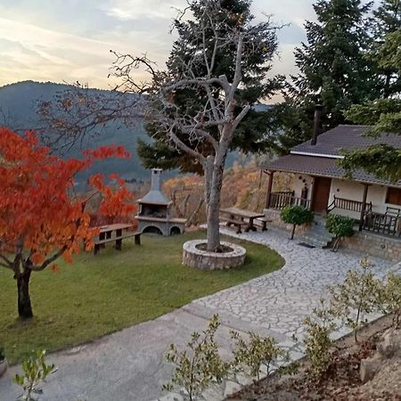 Ξενώνας Το Πατρικό Karia  Экстерьер фото